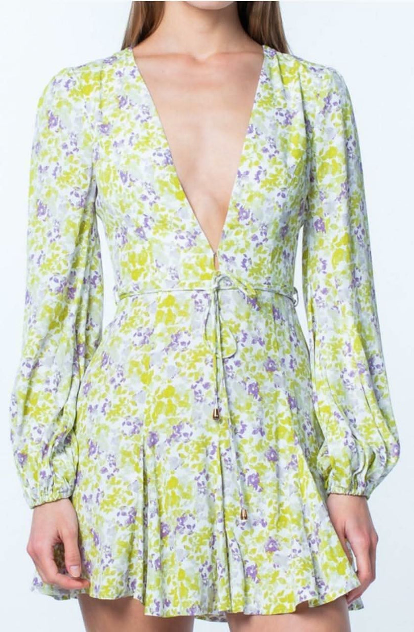 Long Sleeve floral print mini dresses