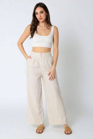 Hampton's Khaki Wide-Leg Pants outfit view