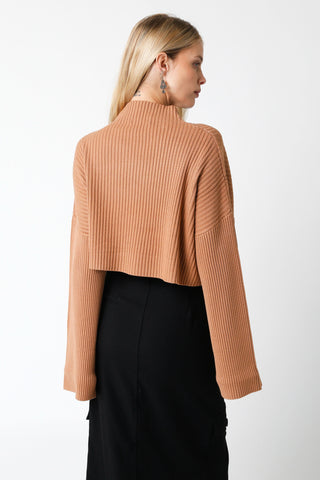 East Side Mocha Ribbed Knit Mock Neck Cropped Sweater