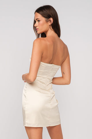 Harper Ivory Ribbon Trim Strapless Mini Dress -Backt View | Boho Pink