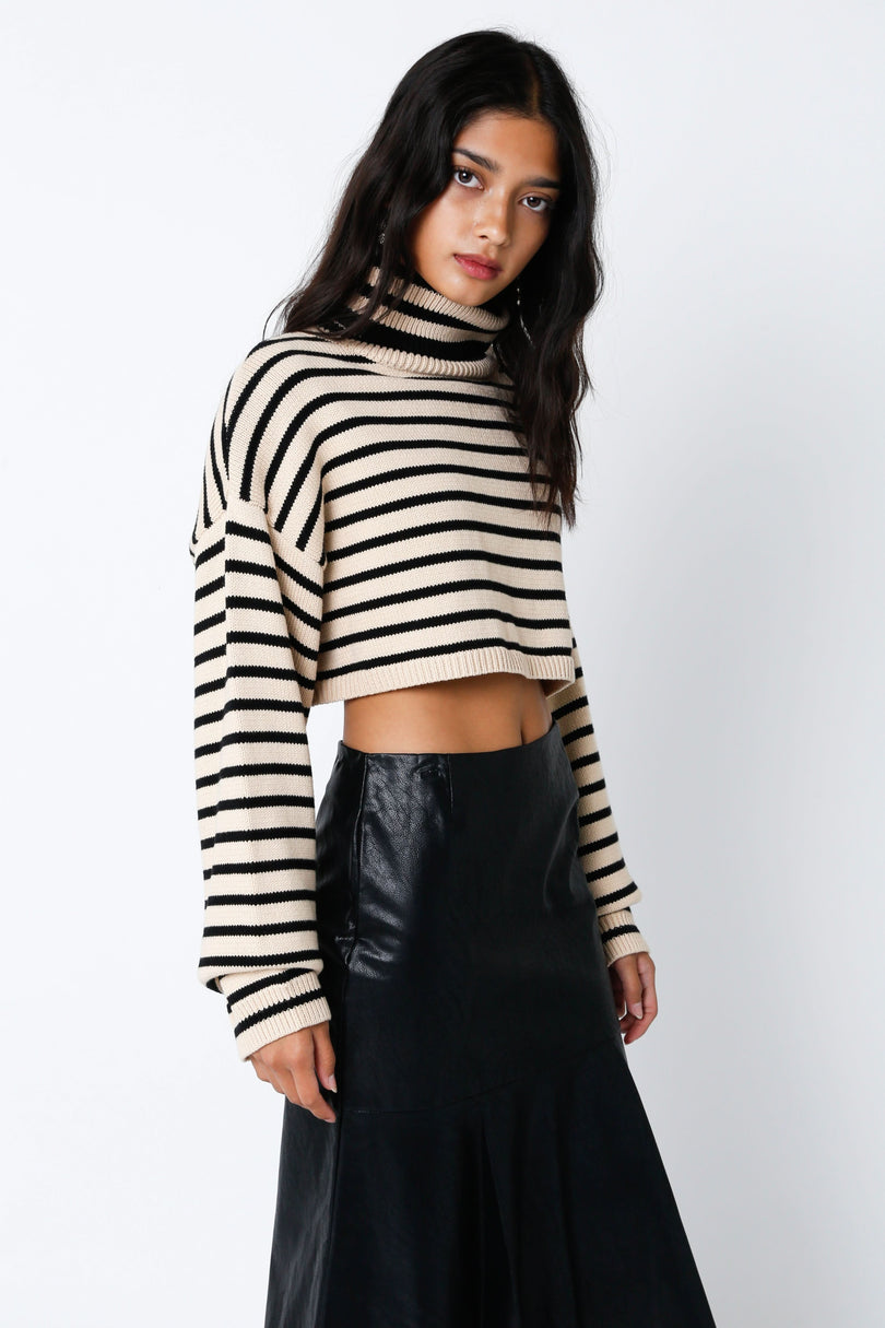 Cropped Turtleneck Sweater