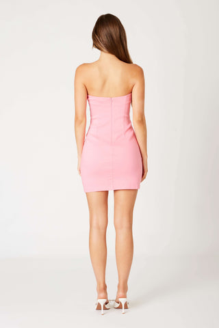 Rita Pink Strapless Mini Dress - Back Detail View