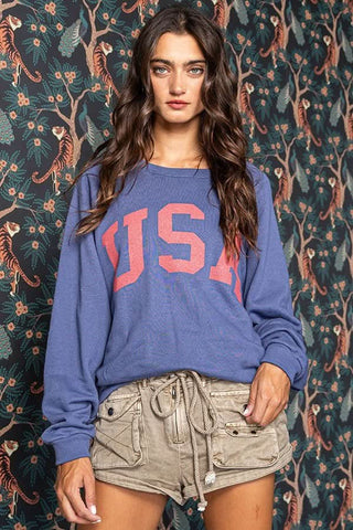 Model wearing the Team USA Navy Graphic Sweatshirt with cargo shorts