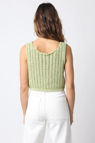 Valeria Sage Sheer Sweater Top - Back View