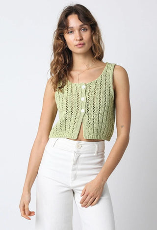 Valeria Sage Sheer Sweater Top - Front View
