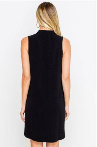 Emma Black Sleeveless Shift Dress - Back View