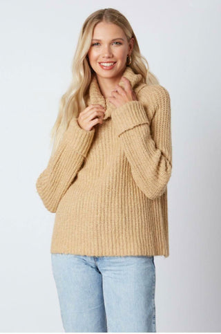 Jane Tan Chunky Turtleneck Sweater front