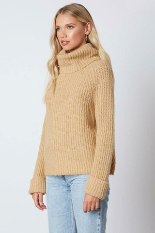 Jane Tan Chunky Turtleneck Sweater side