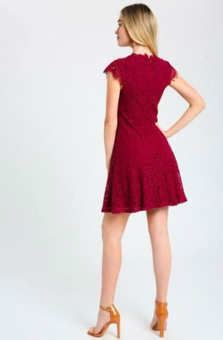 Selma Burgundy Lace Skater Dress back view