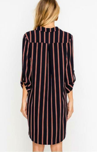 From the City Navy and Rust Striped Shirt Dress - Back View