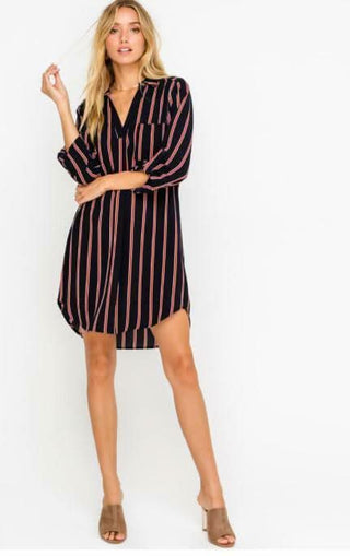 From the City Navy and Rust Striped Shirt Dress - Front View