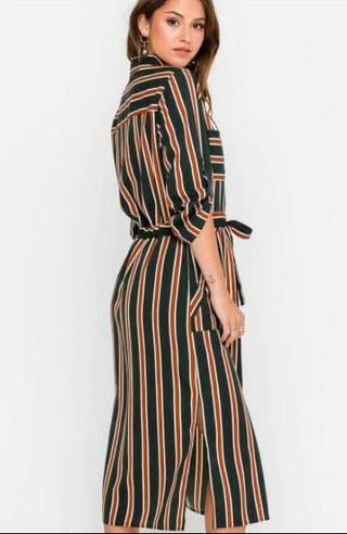 Laura Navy and Rust Striped Midi Shirt Dress -  Back View