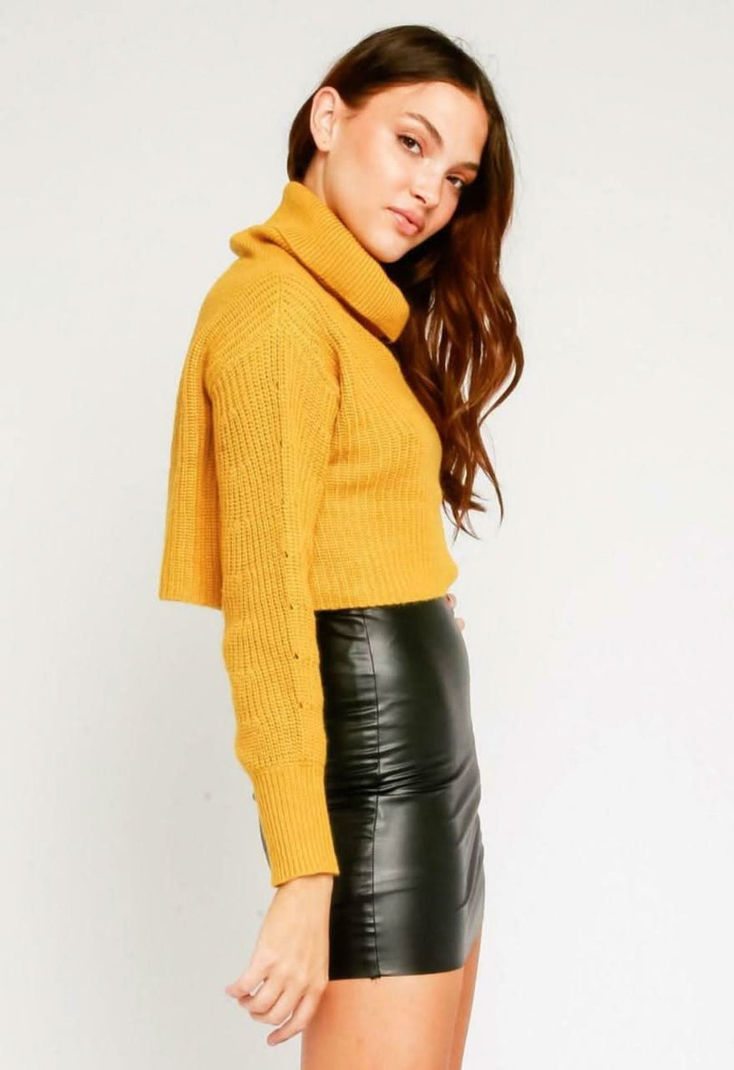 Cropped Turtleneck