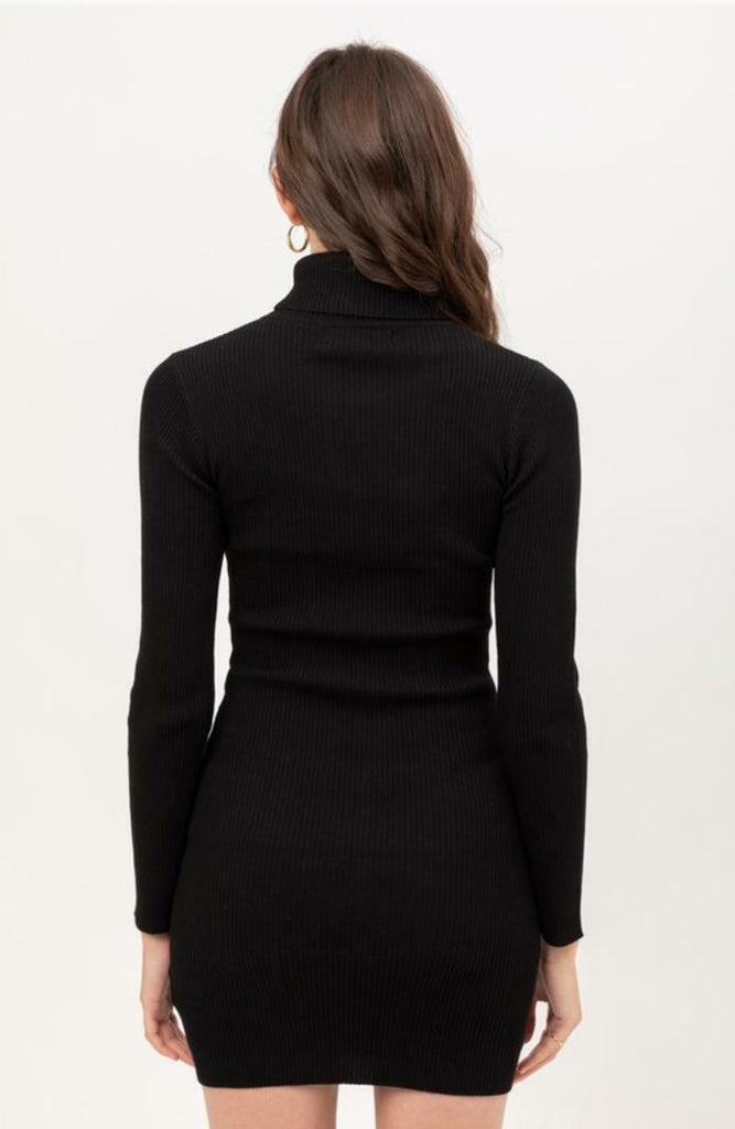 Turtleneck Sweater Dresses